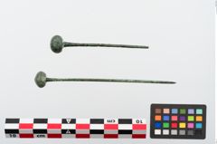 Foto von Kugelkopfnadel (NHMW-PRAE-024264)